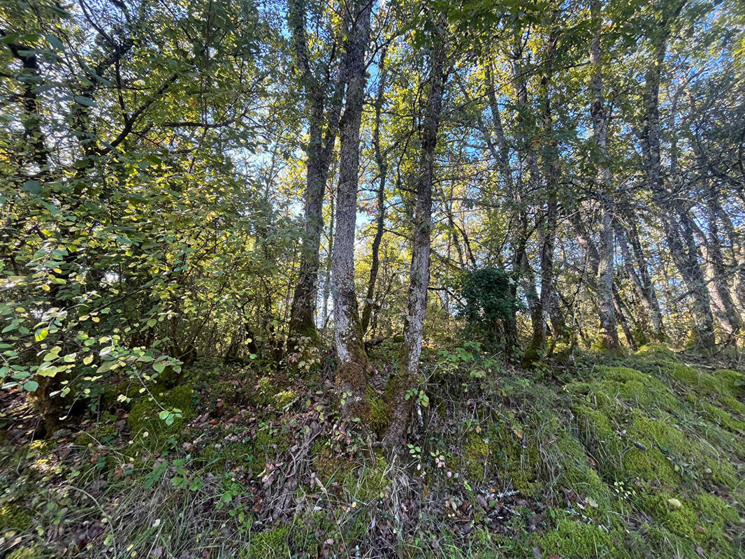 Terrain à SAINT-VINCENT-SUR-L'ISLE