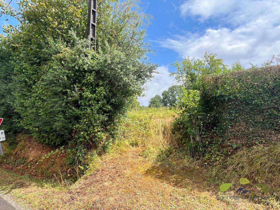 Terrain à MONTBOUCHER