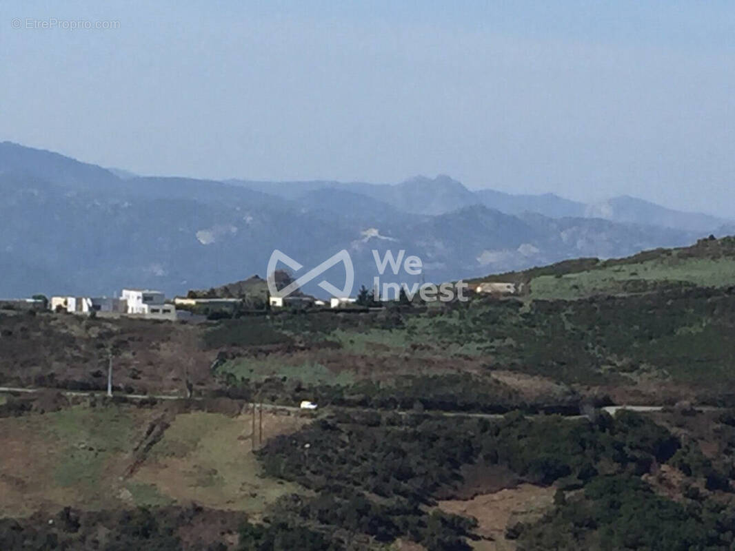 Terrain à OLMETA-DI-TUDA
