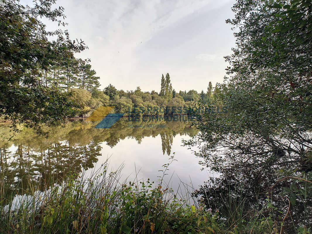 Vente d'un domaine professionnel à fort potentiel sur la commune de Missillac - photo 11