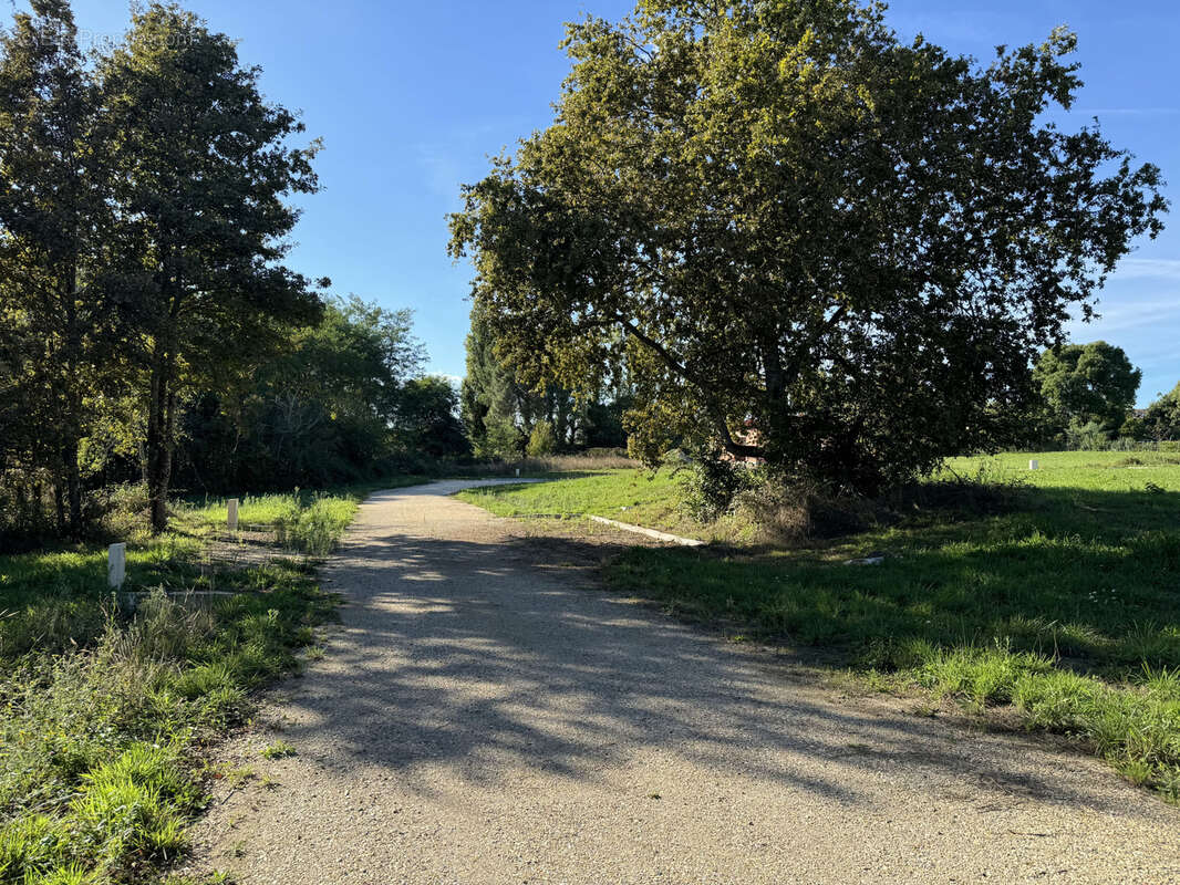 Terrain à CASTELJALOUX