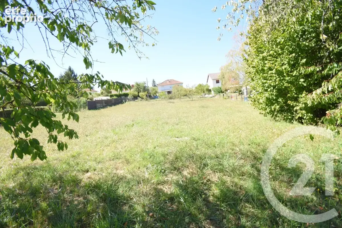 Terrain 1 302 m² à vendre à Cusset (03300) - photo 3