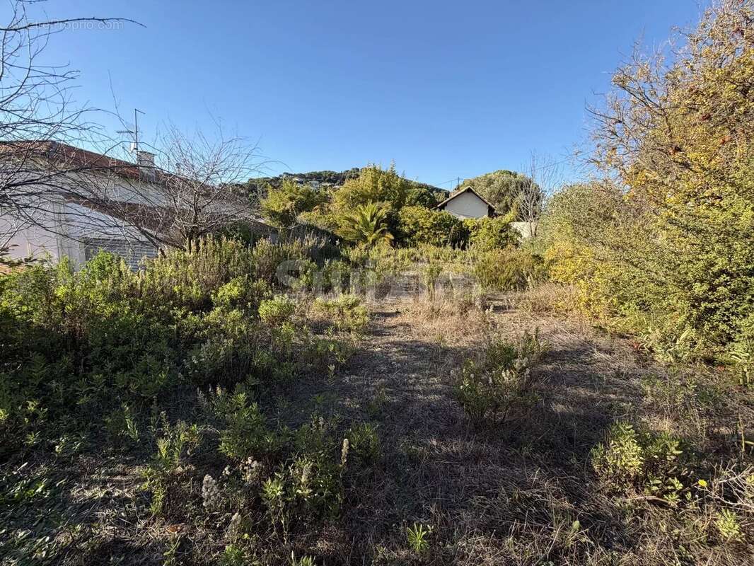 Terrain à VALLAURIS