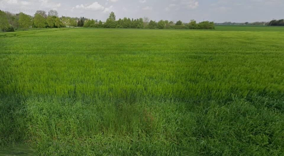 Terrain à SCHLIERBACH