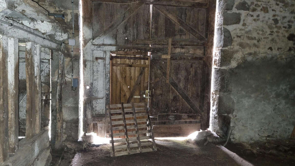 20251023_145534 - Maison à SAINT-ESTEPHE