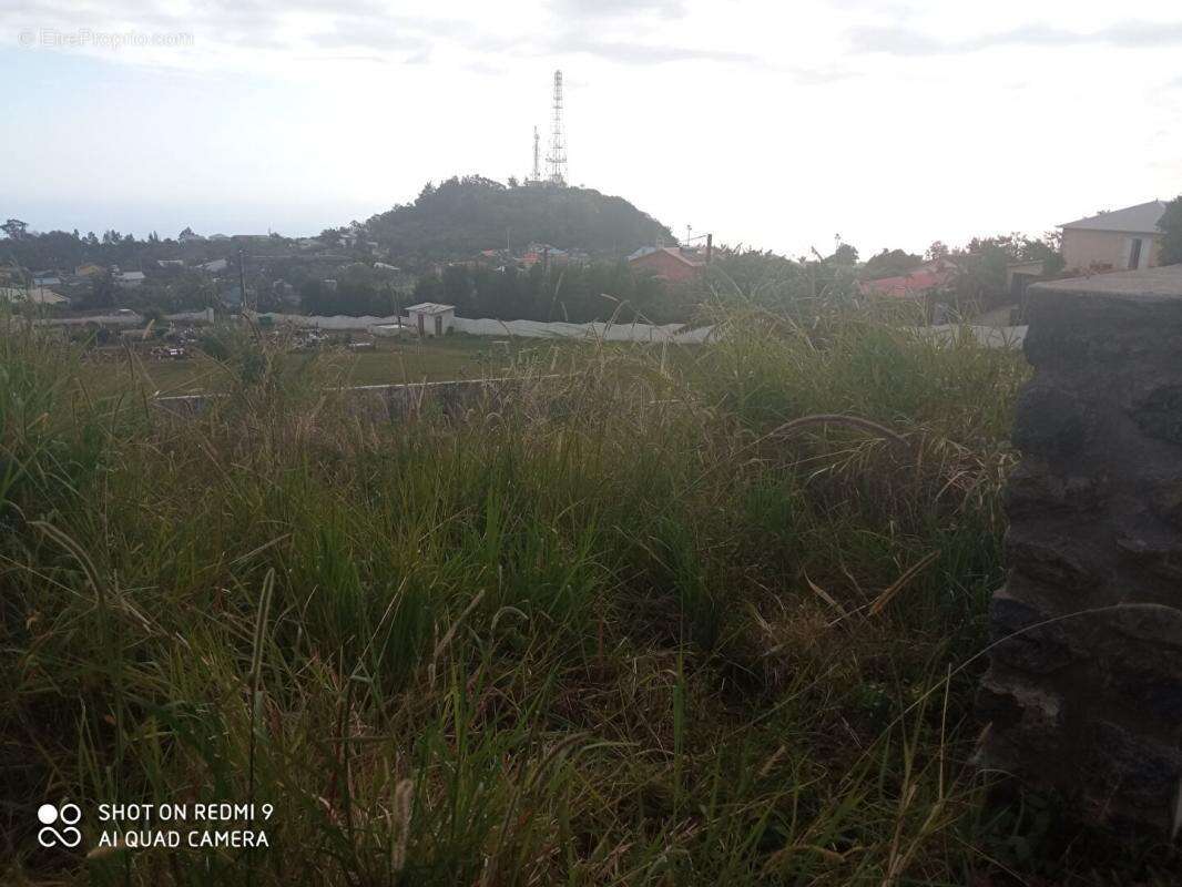 Terrain à SAINT-LEU