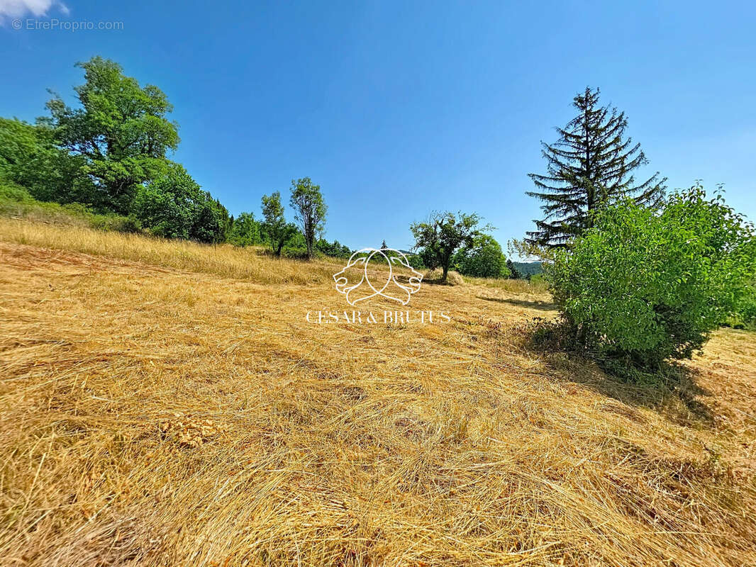Terrain 958 m² à Saint-Vincent  - photo 2