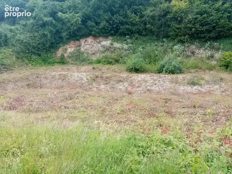 Terrain à TANCARVILLE