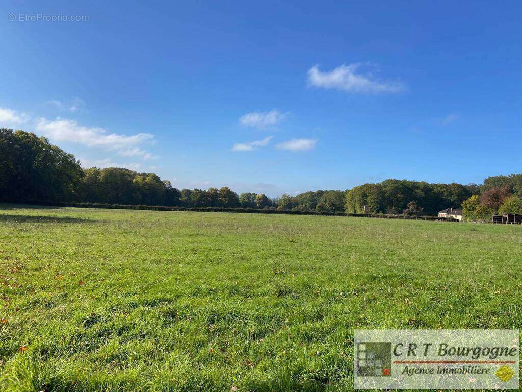 Maison à MOULINS-SUR-OUANNE