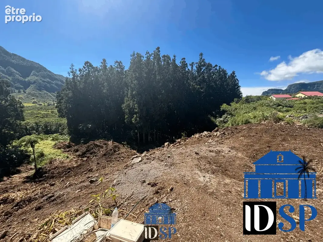 Terrain 1519 m² à La Plaine-Des-Palmistes  - photo 3