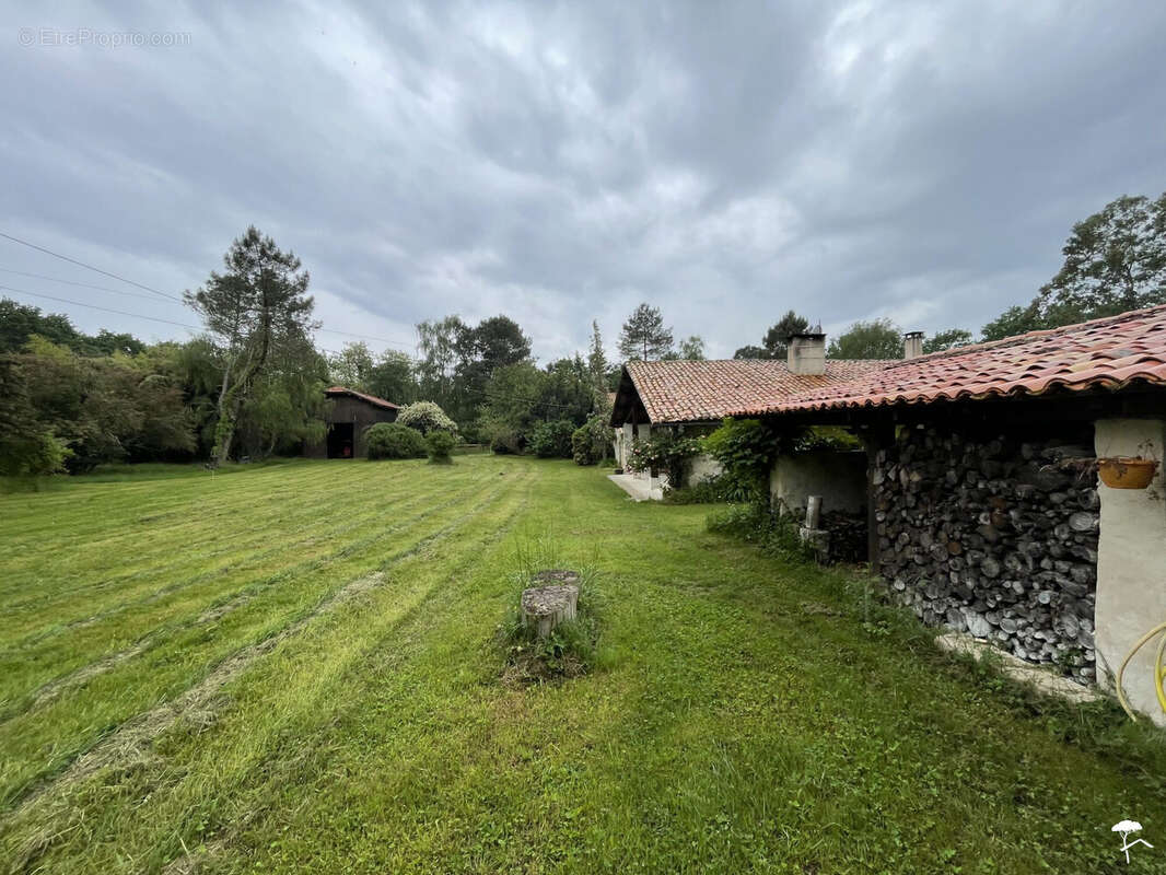 Maison à BAZAS