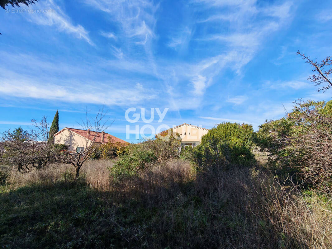 Terrain à CARPENTRAS