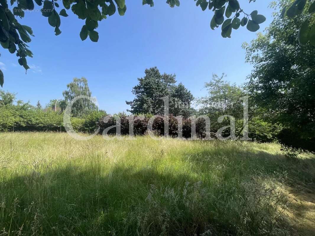 Terrain à L&#039;ETANG-LA-VILLE