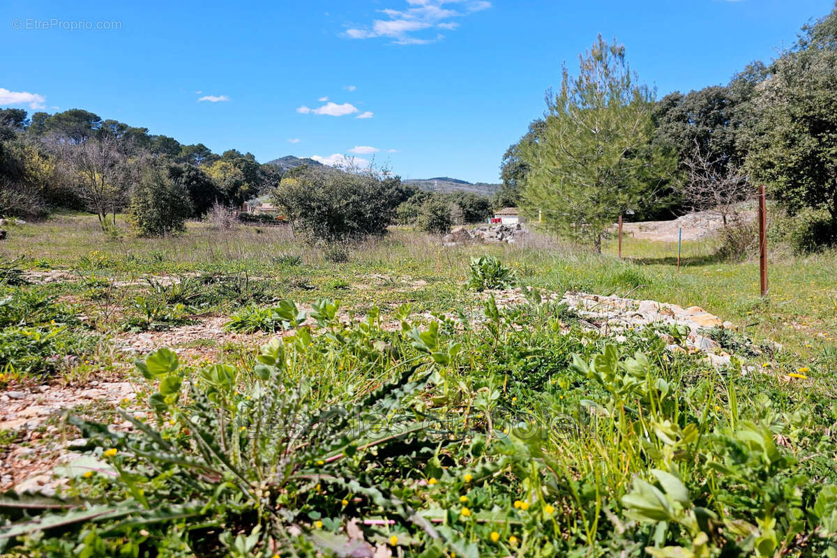 Terrain à FLASSANS-SUR-ISSOLE