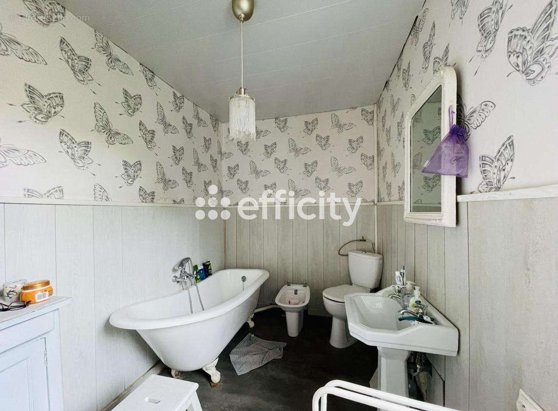 Maison 329 m² à Fontaine-Chalendray  - photo 10