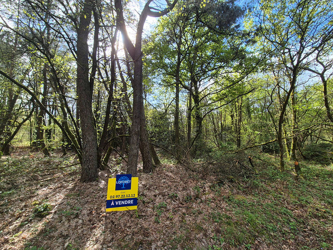Terrain à MONTENEUF