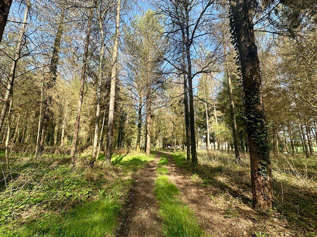 Maison à PONTVALLAIN