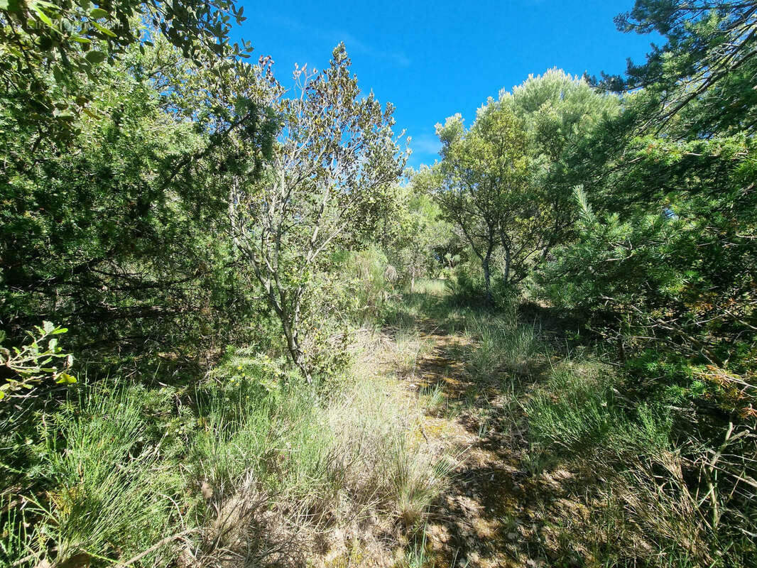 Terrain à BAUDINARD-SUR-VERDON