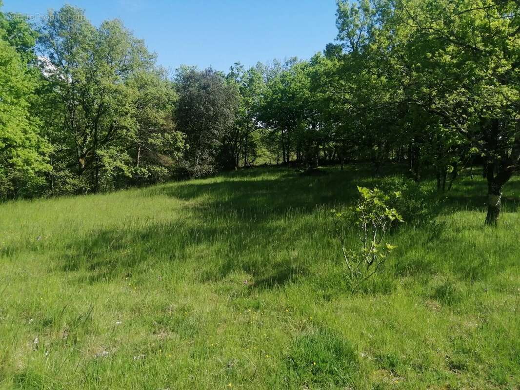 Maison à SAINT-BEAUZILE