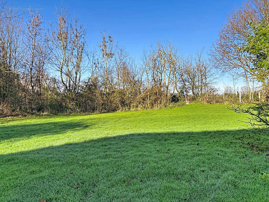 Maison à NEUFMESNIL