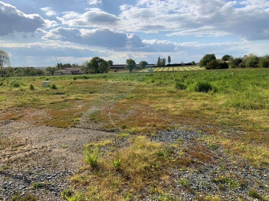 Terrain à L'ILE-D'OLONNE