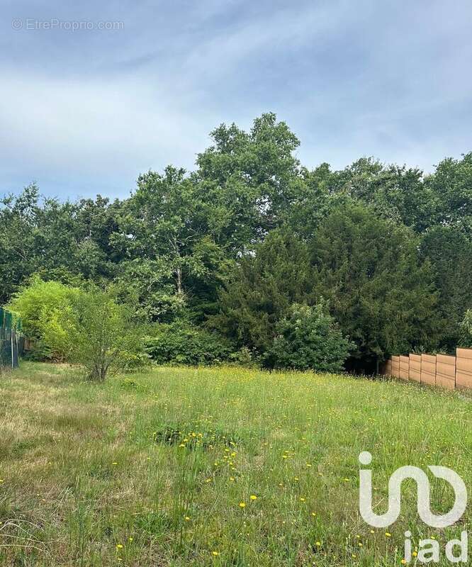 Photo 2 - Terrain à VILLENAVE-D'ORNON