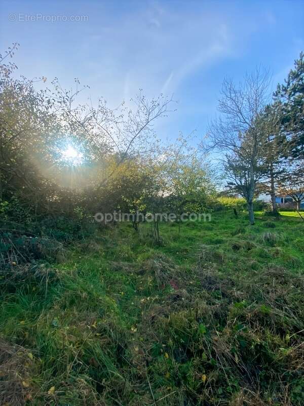 Terrain à VELAINE-SOUS-AMANCE