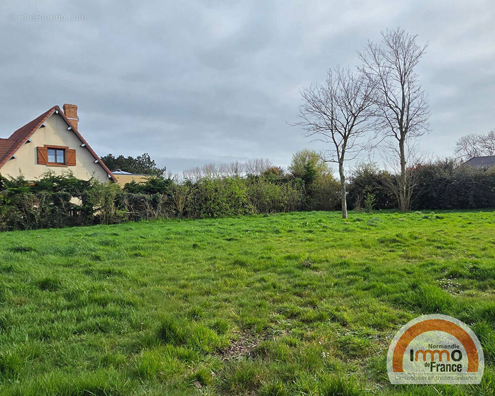 Terrain à OCTEVILLE-SUR-MER