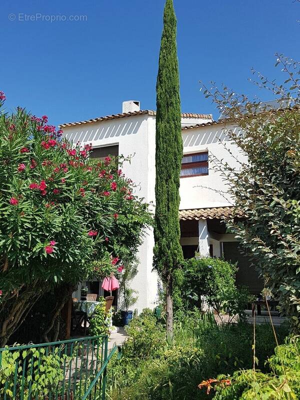 Maison à MONTPELLIER