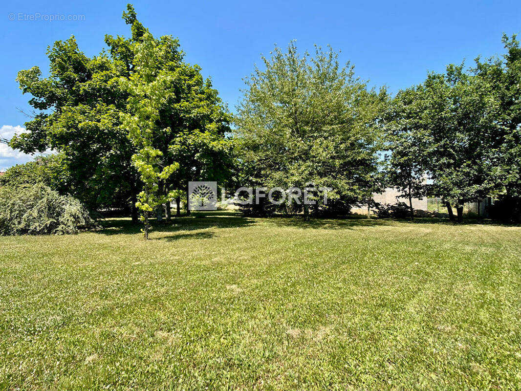 Terrain à BELLEVILLE