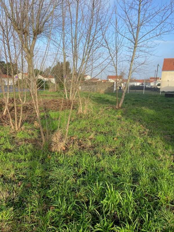 Terrain à LA PLAINE-SUR-MER