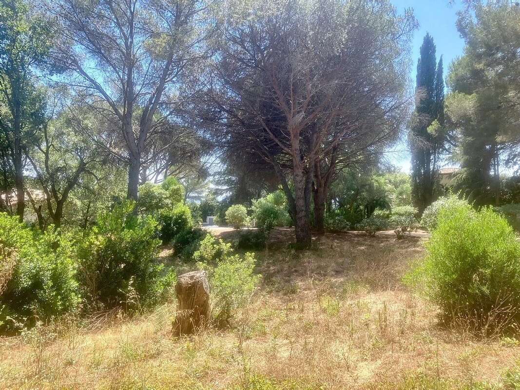 Terrain à LA CROIX-VALMER