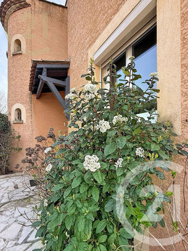 Maison à VILLENEUVE-LES-MAGUELONE