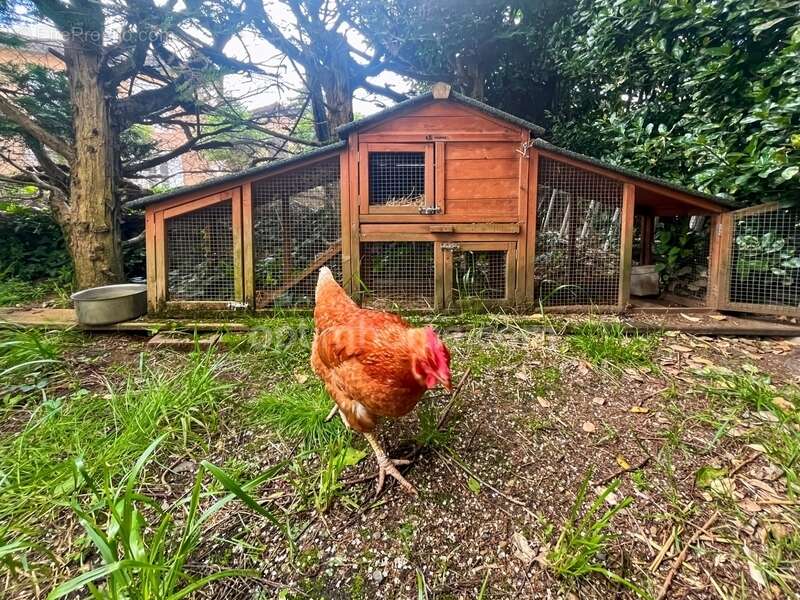 Maison à CAMPAGNE-D&#039;ARMAGNAC
