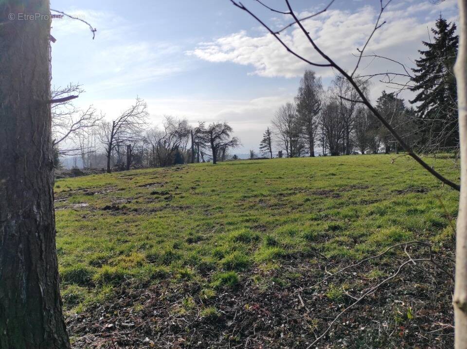 Terrain à GRANGUES