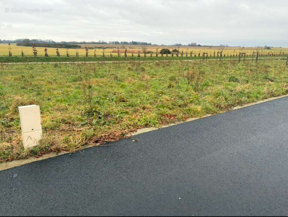 Terrain à FAUVILLE-EN-CAUX