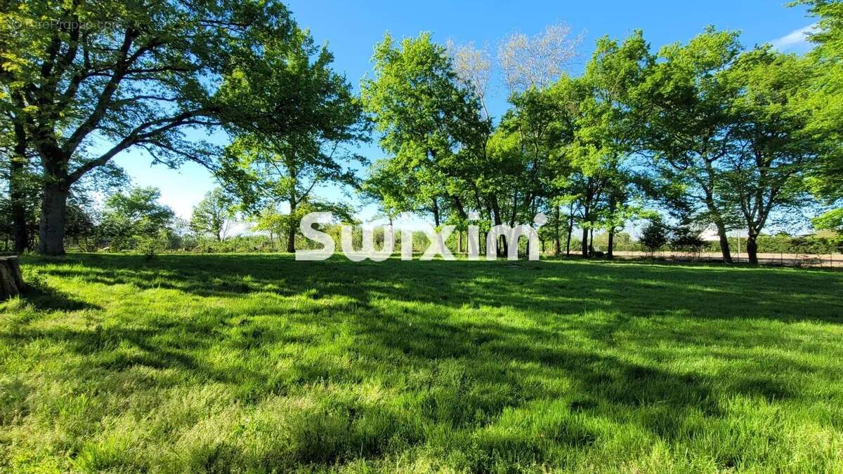 Maison à BLETTERANS