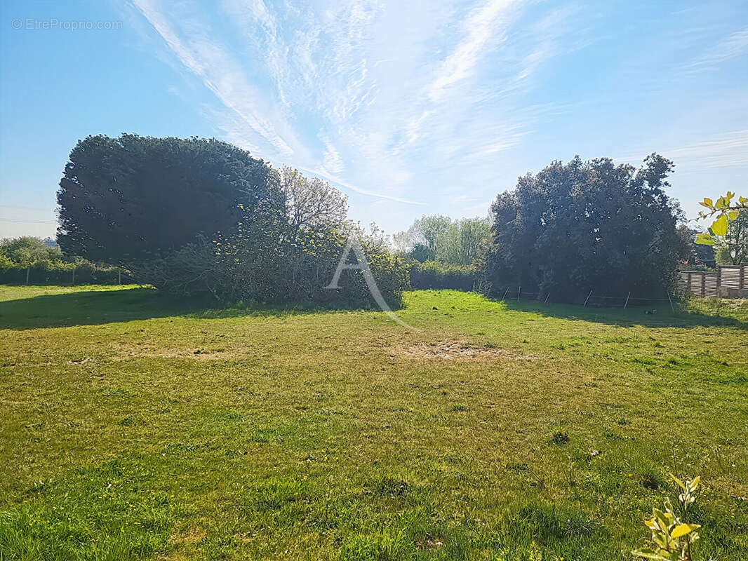 Terrain à NOTRE-DAME-DE-MONTS