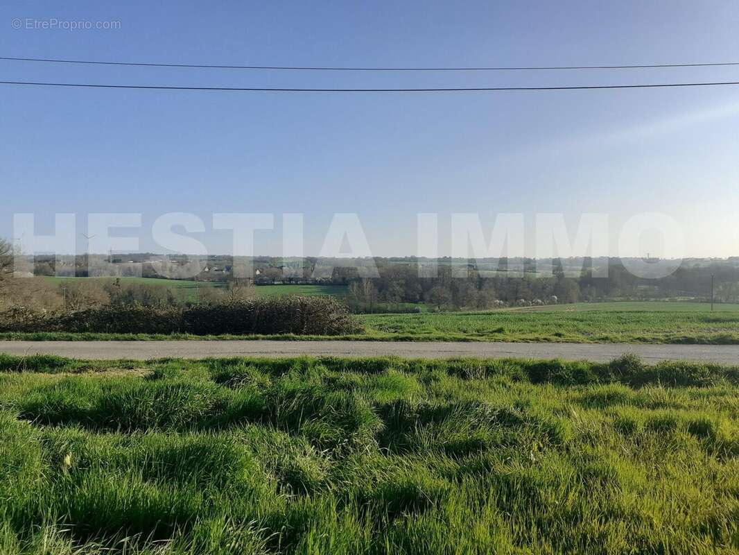 20250327_173811 - Maison à SAINT-GEREON