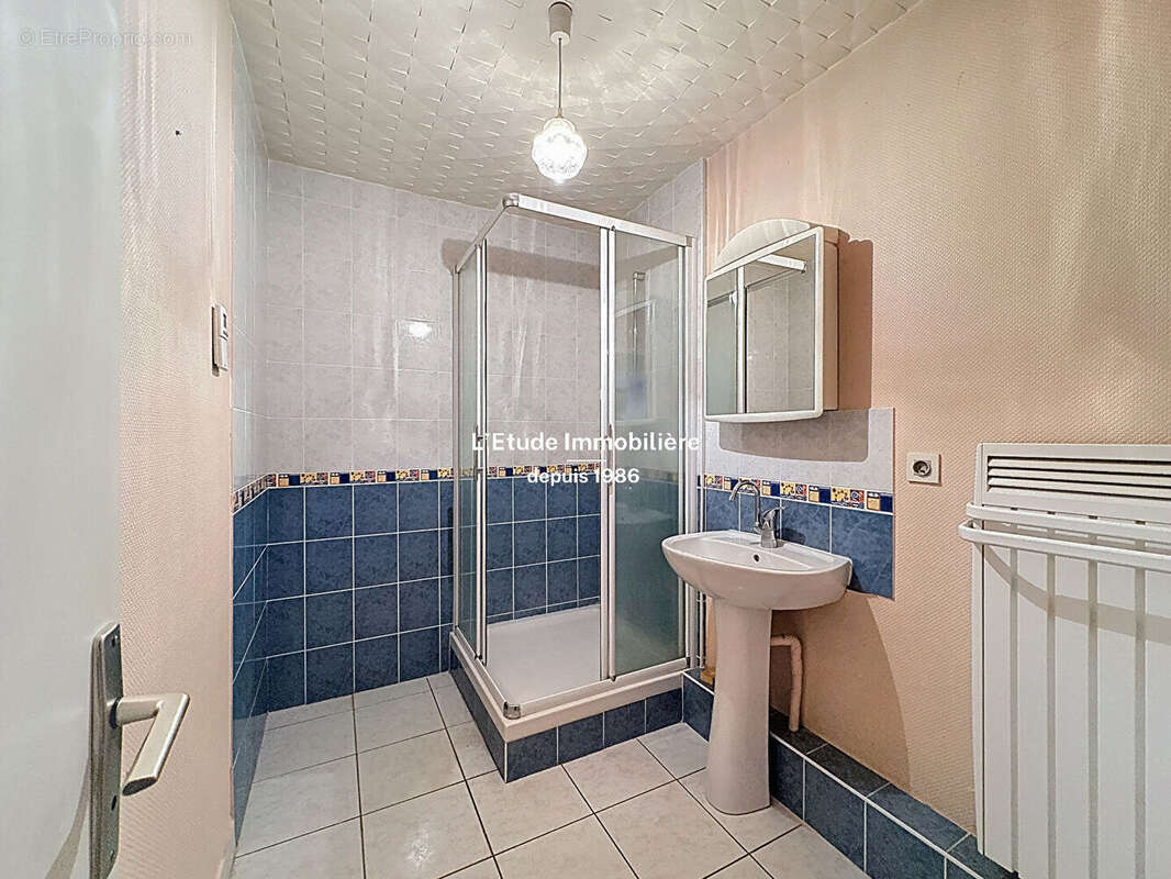 Appartement à SATHONAY-CAMP