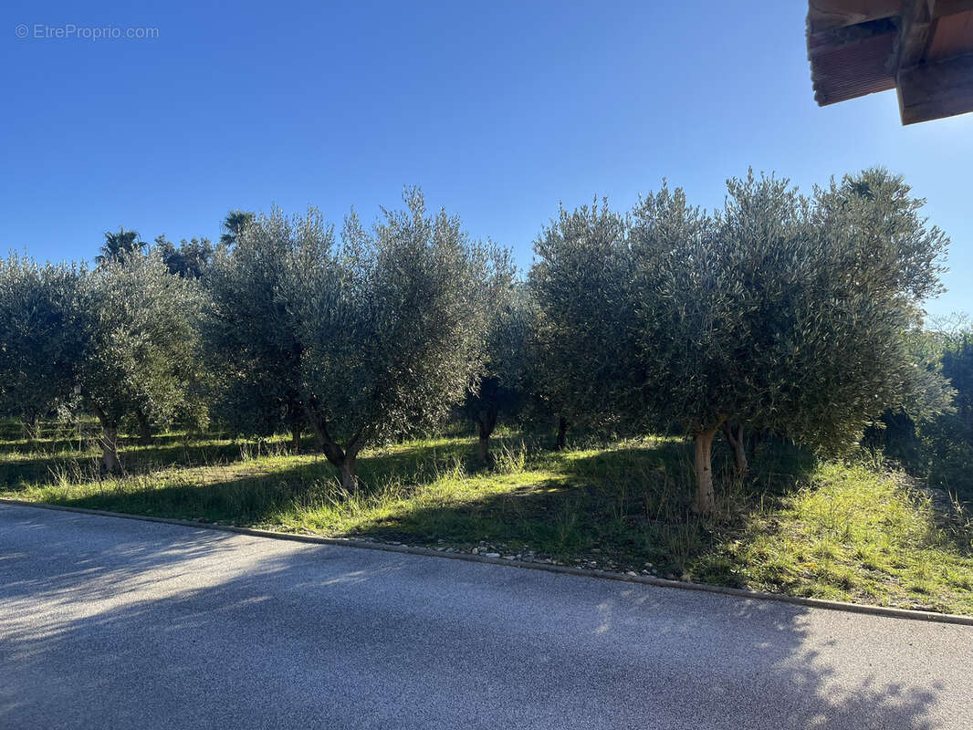 Terrain à PERPIGNAN