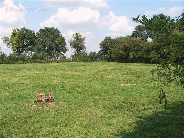 Photo Terrain à Busigny au prix de 25 100€