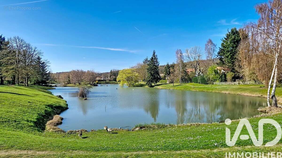Photo 3 - Maison à SAINT-FARGEAU-PONTHIERRY