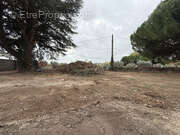 Terrain à LANSARGUES