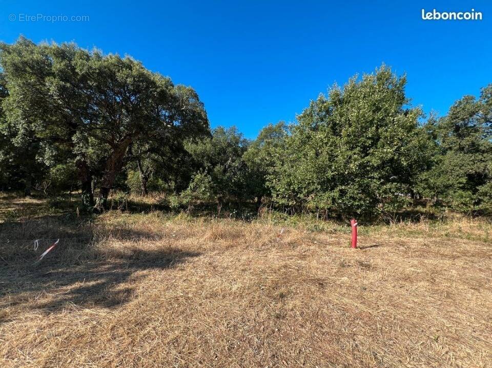 Terrain à LES MAYONS