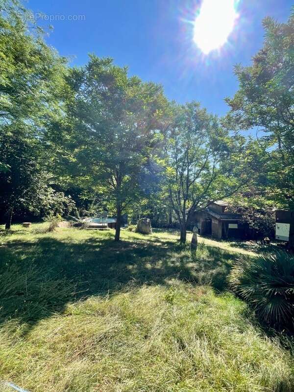 À vendre – Maison de campagne 5 pièces, 121 m² sur 7000² de terrain avec dépendances – Montricoux (82) - photo 22