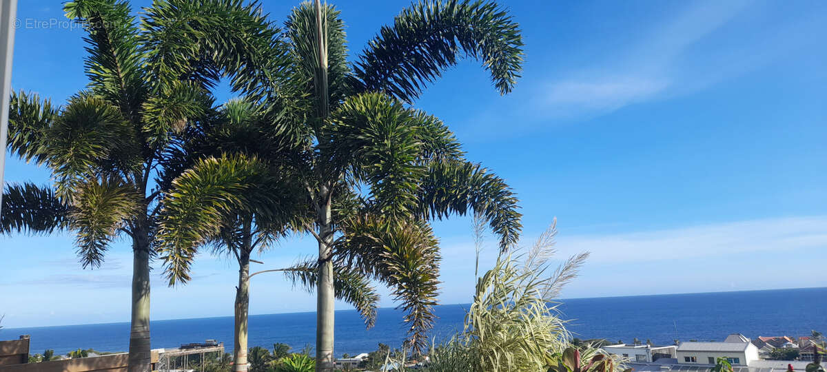 Terrain à SAINT-PIERRE