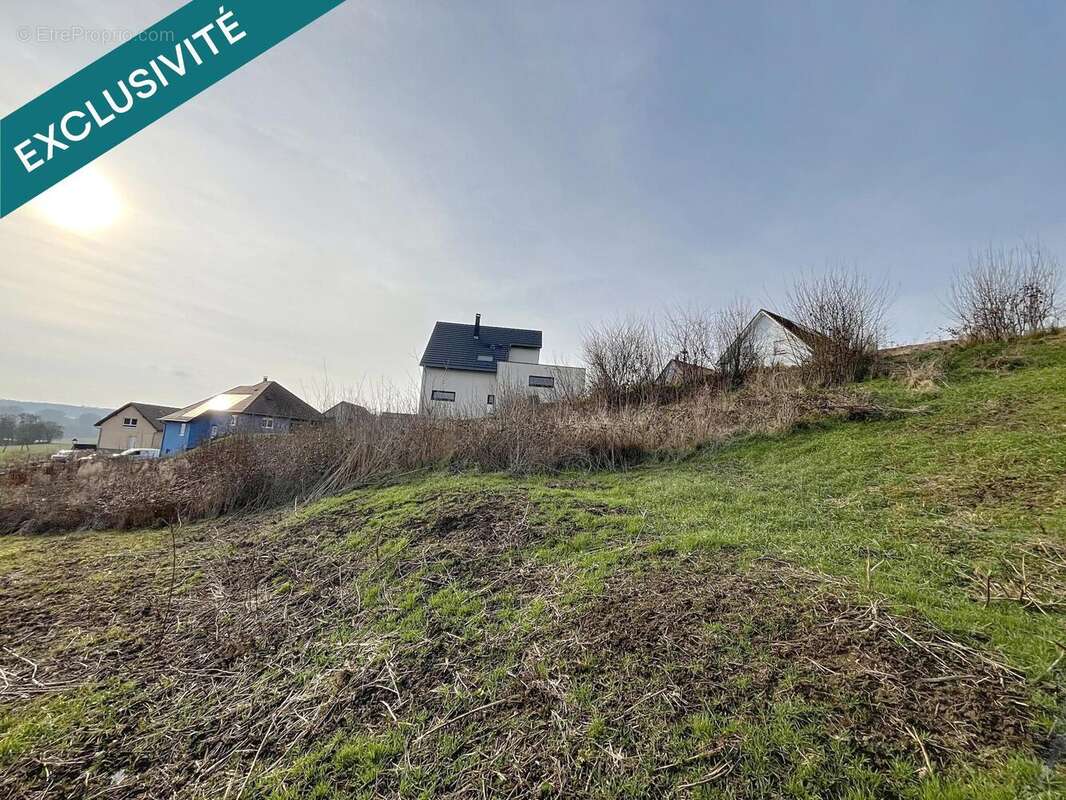 Photo 4 - Terrain à OFFWILLER