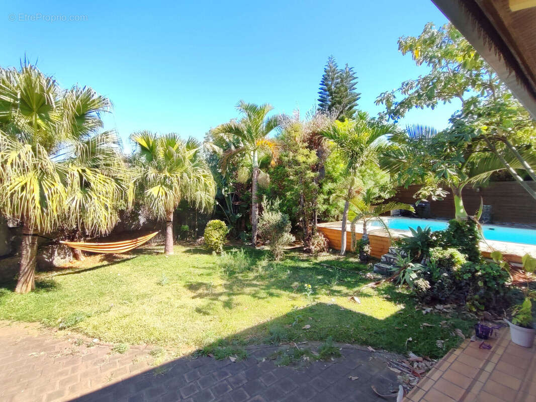 Photo 4 - Maison à SAINT-PIERRE