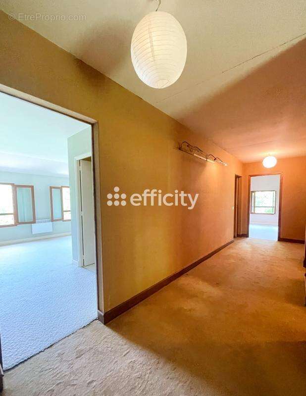 Maison 225 m² à Le Mas-D'azil  - photo 11